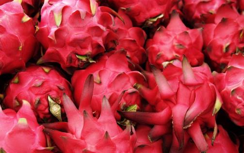 千萬(wàn)別把火紅龍果皮丟掉 養(yǎng)顏美容是再好不過(guò)啦