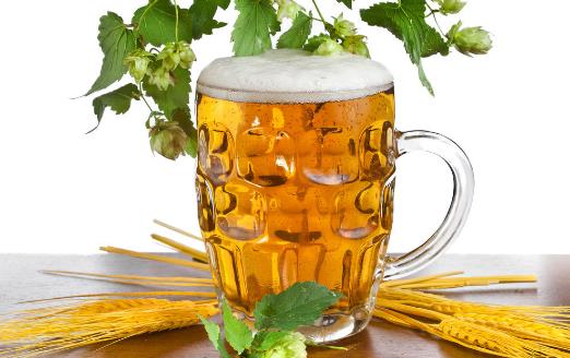 經常飲用啤酒能保持人體骨骼強健 啤酒的種類知多少 