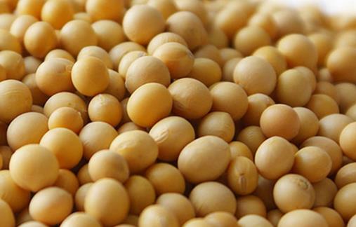 經(jīng)常放屁可能是身體要出大問題 容易產(chǎn)生屁的食物