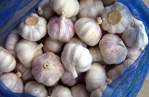 經(jīng)常放屁可能是身體要出大問題 容易產(chǎn)生屁的食物