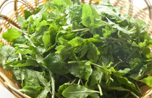 野菜七頭一腦最全攻略 教你野菜做法大全養(yǎng)生又健康