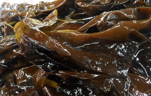 這些人群不宜食用海帶，一點(diǎn)都別沾最好