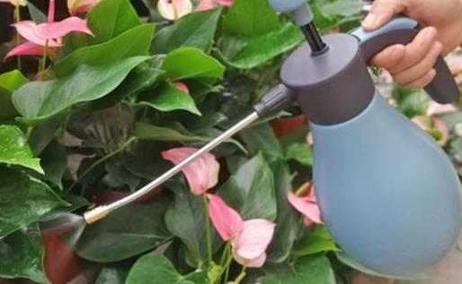 養(yǎng)花澆水過(guò)程中需要掌握的小竅門(mén) 扣水和回水的區(qū)別