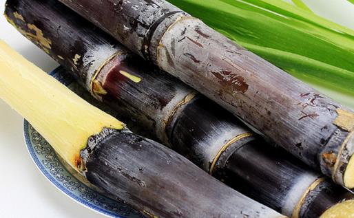 甘蔗的營(yíng)養(yǎng)價(jià)值 甘蔗食療作用及不適宜食用人群