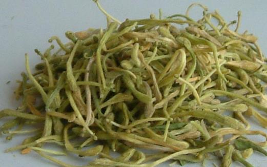 最適合春季喝的養(yǎng)生茶 養(yǎng)身體預防疾病