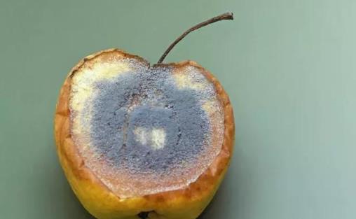 染發(fā)會不會危害健康？3種易致癌的行為應(yīng)立即停止