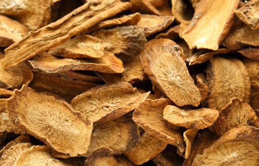 牛蒡茶與牛蒡根，哪個(gè)更好？二者僅一字之差，具體又有哪