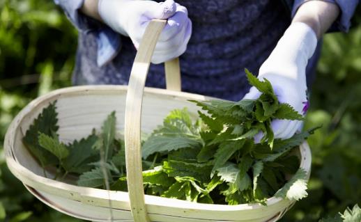 野菜純天然有營(yíng)養(yǎng)，你知道怎么吃嗎