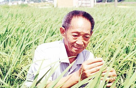雜交與轉(zhuǎn)基因的區(qū)別 轉(zhuǎn)基因食品鑒別小妙招