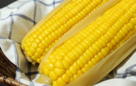 玉米是粗糧中的保健佳品 煮玉米更營養(yǎng)的方法