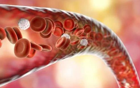 喝醋、喝紅酒、喝魚油能軟化血管？真正管用的其實是它 