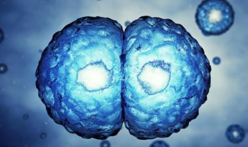平時不痛不癢，一查癌癥就是晚期？醫(yī)生奉勸：7類人需定期