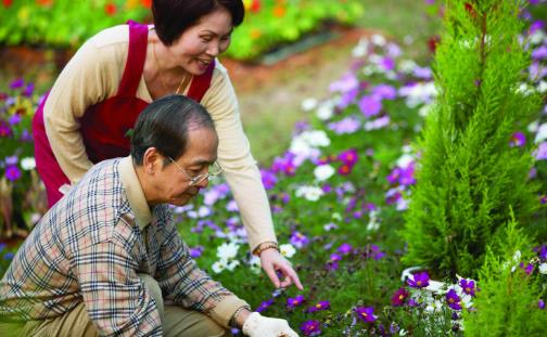 夏天是補腎好時機 中醫(yī)教你冬病夏養(yǎng)養(yǎng)出好陽氣