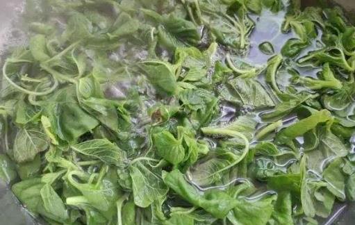 野菜的錯(cuò)誤認(rèn)識(shí) 過量食用或許反而危害健康