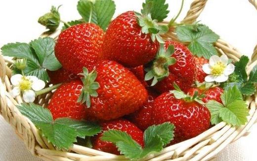 草莓的營養(yǎng)價(jià)值 食用草莓對防治冠心病有益處