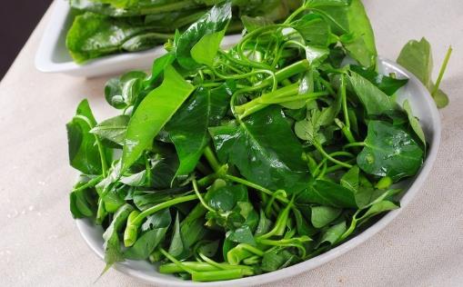 空心菜用油炒過后顏色發(fā)黑，這是“有毒物質(zhì)”嗎？營養(yǎng)師