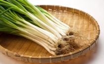 俗話說常吃蔥人輕松 夏季吃蔥的好處多快來(lái)學(xué)做蔥