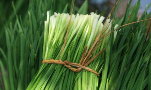 淤血體質(zhì)調(diào)理食物有效祛瘀