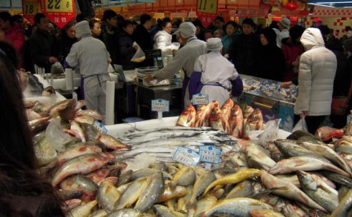 去超市購(gòu)買食品時(shí) 要注意那些問(wèn)題