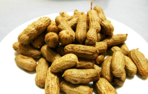 腎氣不足 秋季補腎應(yīng)多吃這10種食物