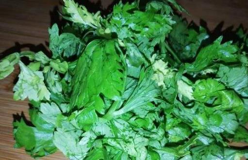 芹菜的藥理和治療價(jià)值 芹菜葉的5種美味做法