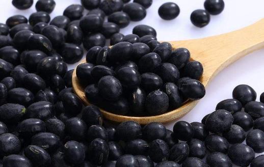 黑豆是很好的肌膚美容之品 黑豆最營(yíng)養(yǎng)搭配