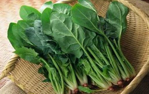 菠菜是補(bǔ)葉酸好手 菠菜的飲食宜忌
