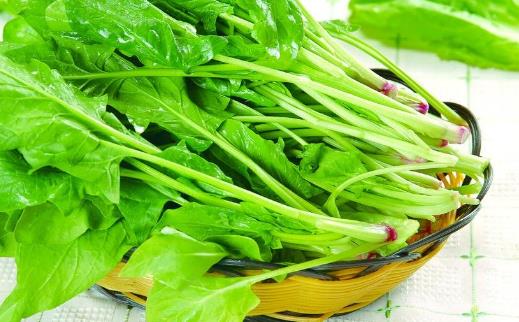 菠菜是補(bǔ)葉酸好手 菠菜的飲食宜忌