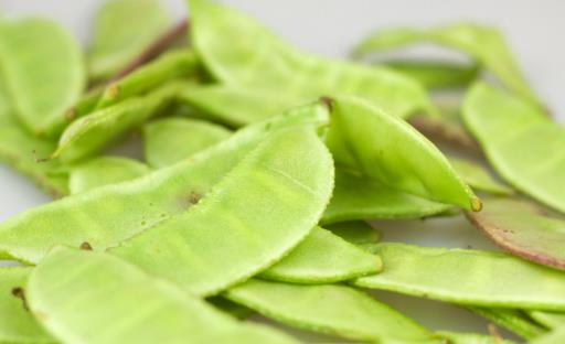 秋老虎來臨，5大時令食材抗秋燥！
