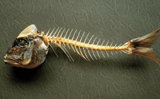 魚(yú)刺卡住喉嚨的9種解決方法 吃魚(yú)時(shí)一定要小心謹(jǐn)慎