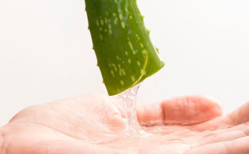 蘆薈果汁的功效與作用 蘆薈果汁的營養(yǎng)價(jià)值