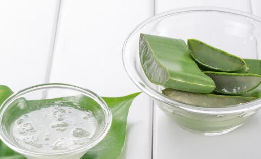 蘆薈果汁的功效與作用 蘆薈果汁的營養(yǎng)價(jià)值