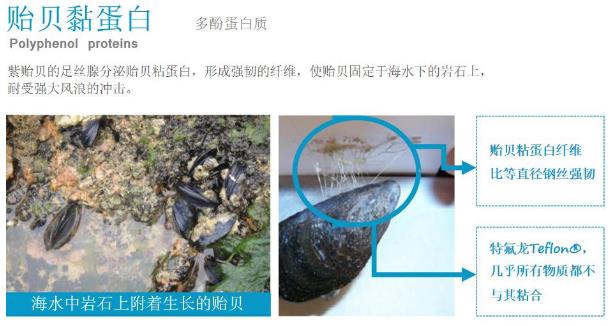 年前肌膚大拯救，萊斯歐肌膚修護三部曲！
