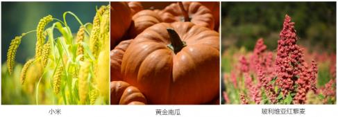 海參配粥吃，您的營養(yǎng)新選擇！