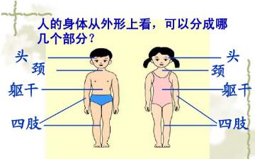 【身體部位】身體部位圖_女生男生身體部位介紹_身體有哪些部位