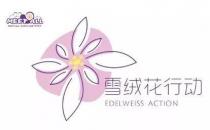 2020蜜特奧兒“雪絨花計劃”全面開啟，隆重來襲！
