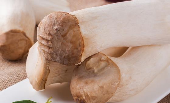 了解吃杏鮑菇的好處 吃杏鮑菇的注意事項(xiàng)