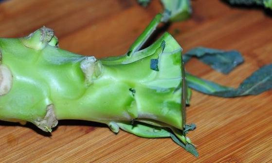 十種常見(jiàn)的可以改善病癥的菜根 丟棄的菜根也有食療功效