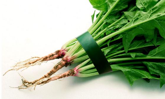 十種常見(jiàn)的可以改善病癥的菜根 丟棄的菜根也有食療功效
