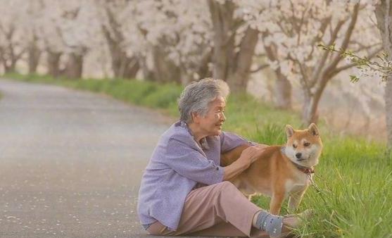 老年人適當(dāng)進(jìn)行娛樂(lè)活動(dòng) 更加有助老年人身心健康
