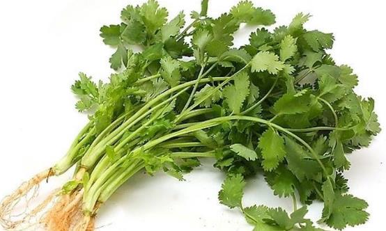 吃香菜增強食欲消食健胃 吃香菜注意事項