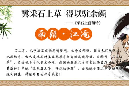 石上草：脫發(fā)怎么辦？用什么洗發(fā)水好？