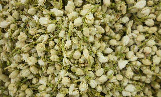 茉莉花能改善生活中的身體不適 關(guān)于茉莉花的藥用功效