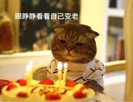 不同類型的肉冷凍保存時(shí)間不同，吃僵尸肉有危害嗎，如何辨別