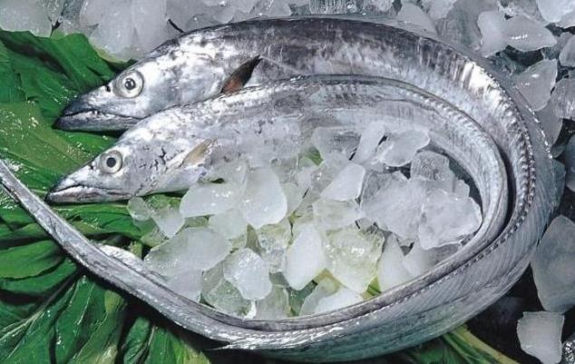 為什么帶魚(yú)不能人工養(yǎng)殖？帶魚(yú)是深海魚(yú)嗎？有什么營(yíng)養(yǎng)價(jià)值