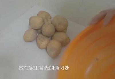土豆發(fā)芽了還能吃嗎？剛發(fā)芽的土豆可以吃嗎