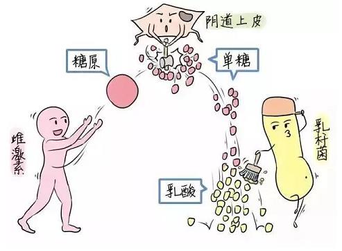 芙美安婦科凝膠丨婦科炎癥反復(fù)發(fā)作？自從用了它，告別私密困擾！
