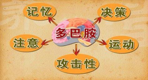 為什么明明不餓，卻總想吃點(diǎn)東西？這究竟是什么毛??？