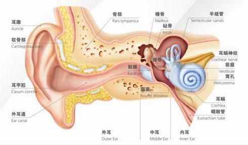 刺啦！聽(tīng)到了粉筆劃過(guò)黑板的聲音 為什么會(huì)讓你抓狂？